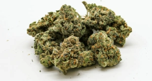 Marijuana